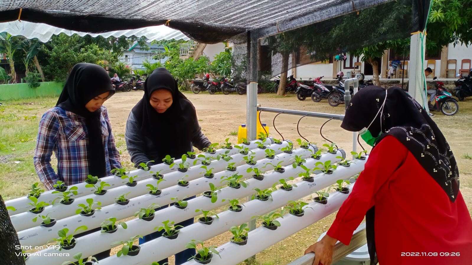 MAHASISWA FAKULTAS PERTANIAN UMU BUTON LAKUKAN BUDIDAYA TEKNIK HIDROPONIK